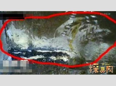 卫星拍到了 鳞片清晰可见 实为冰川 辟谣