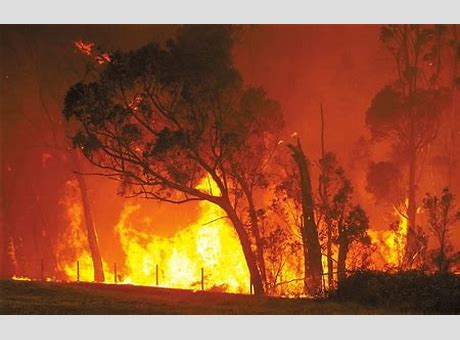澳大利亚火灾最新消息 澳大利亚火灾刚平息 两大灾难来袭数十所学校关闭 